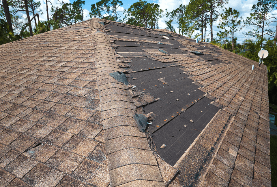 roof repair shingles missing